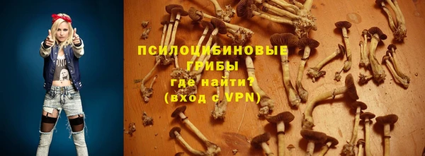 хмурый Алексеевка